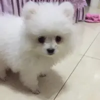 kimmy77570