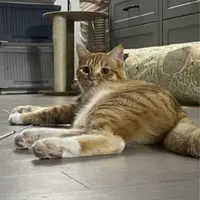 sherryyyuen