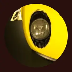 cygnet3070