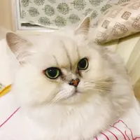 nutmui