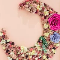 lorrie_24
