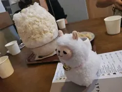 Tracy Tsui_hy