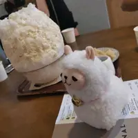 Tracy Tsui_hy