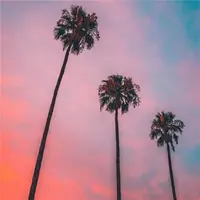 笑靥荼靡