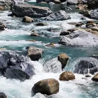 Nacolina