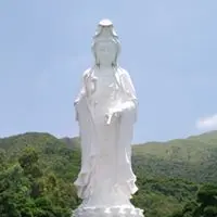 nikiyeung2019