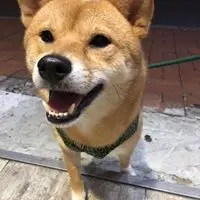 bobo123bobo