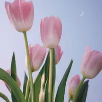 Irissss0904