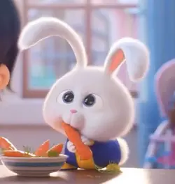 foodie.zumi
