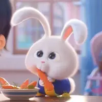 foodie.zumi