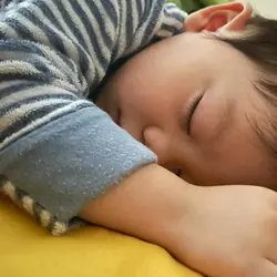 食之郎