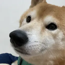 tarou1015