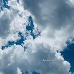 Yumeee_life
