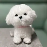 红色的BMW