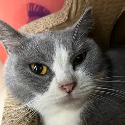aprqjqn4rkcy