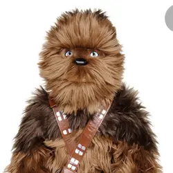毛毛chewbacca