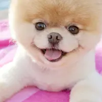 Sarah_Law938