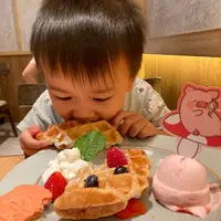 pigpigbun