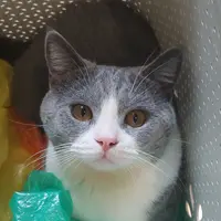 一个钟意食嘢嘅人