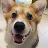 MelodyFP
