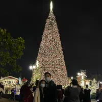 lok_369