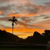 apr8dvdzsrmv