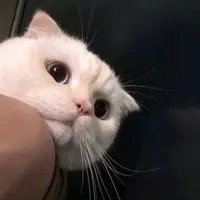 ReneChunjen