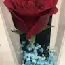 queenxw
