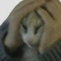 steveve