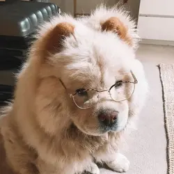 siuhaha90