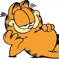 慧食猫猫