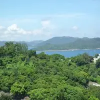 annyctong19