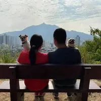 mickeyfungfung