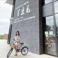 carrie_hui