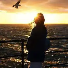 美食秘境探險者