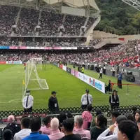 美斯日记
