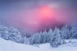 雪白公主