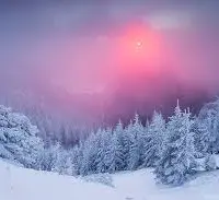 雪白公主