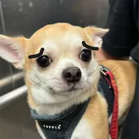 Hide my life
