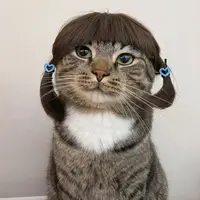 叮噹貓係我