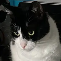apjcmf5dkmj7