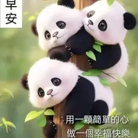 有你有我大眼妹