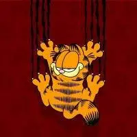 Garfield IFC