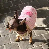 chillyhk_foodie
