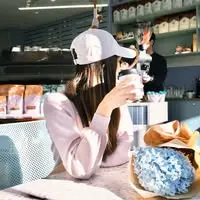 Jamiesdiary