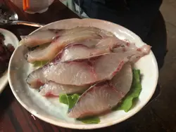 脆鯇腩