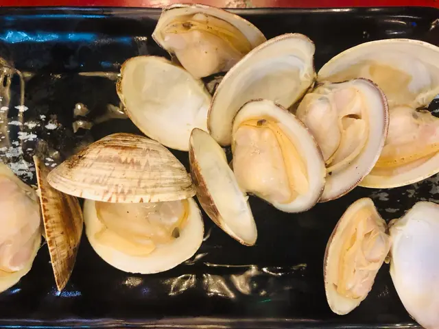 燒馬來西亞大蜆