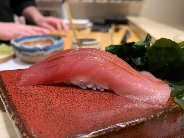 中TORO