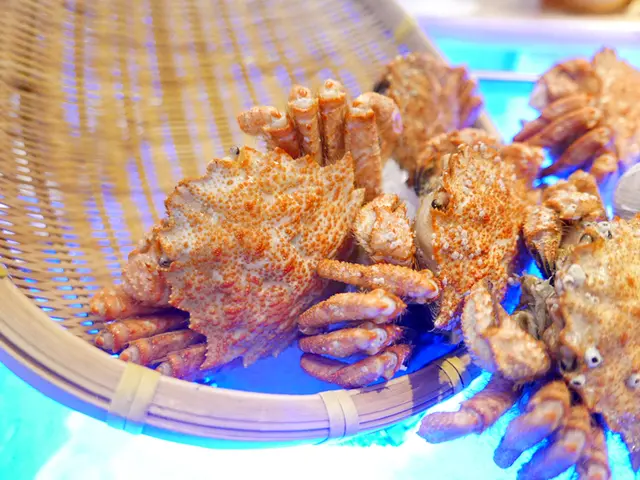 冰鎮北海道栗毛蟹