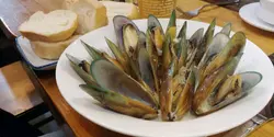 Green lipped mussels in cream sauce